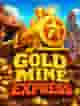 Gold Mine Express